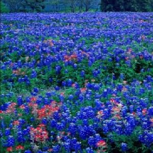 Meet your Posher, Ashlee